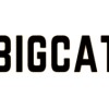 Bigcattr sitesi güvenilir mi