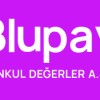 Blupay Menkul Değerler Güvenilir mi