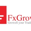 FxGrow Forex Güvenilir mi